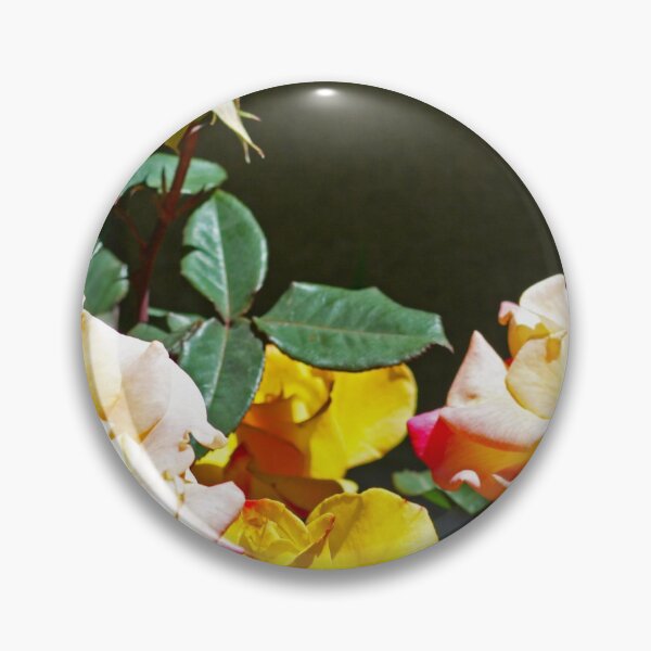 Item preview, Joseph's Coat Roses in Bloom designed and sold by PictureLadie.