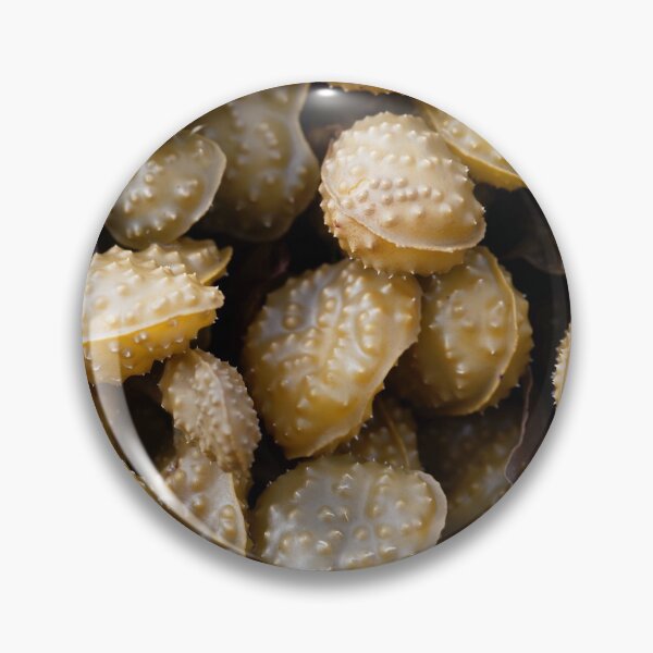 Artikelvorschau, Fortpflanzungskörper eines Spiralwracks, Fucus spiralis. entworfen und verkauft von Zosimus.