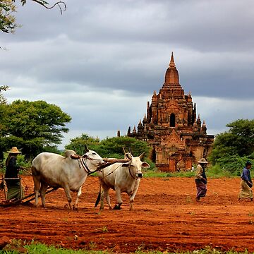 Artwork thumbnail, "Burmese Ancient Temples Bagan" by remote-travel