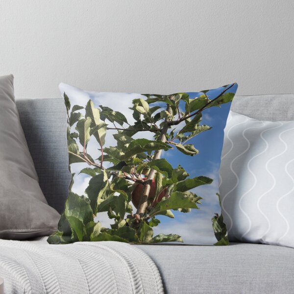 Item preview, Apples in the Sun designed and sold by BlueFoxCreative.