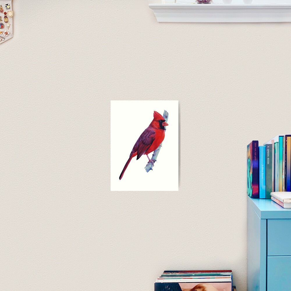 Northern Cardinal (no background) Art Print