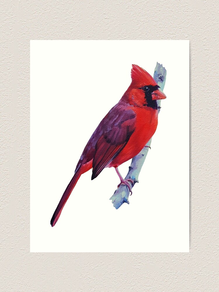 Alternate view of Northern Cardinal (no background) Art Print