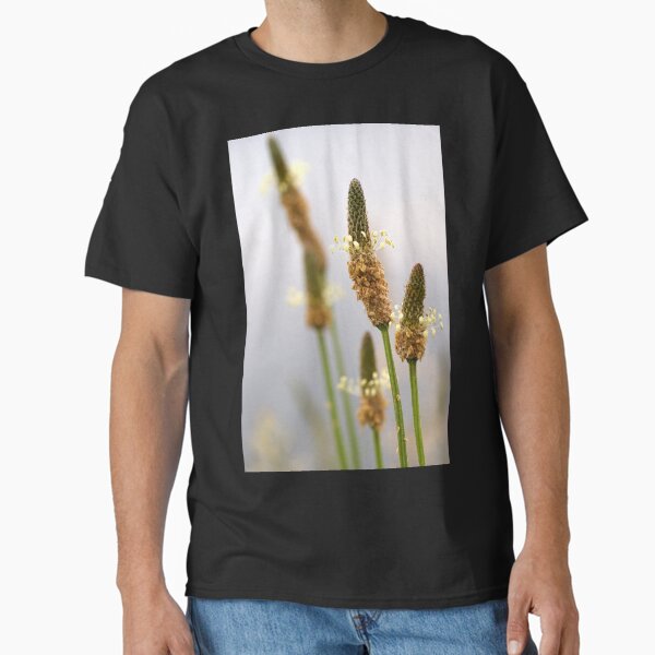 Wild Flower by Avril Thomas - photography Classic T-Shirt