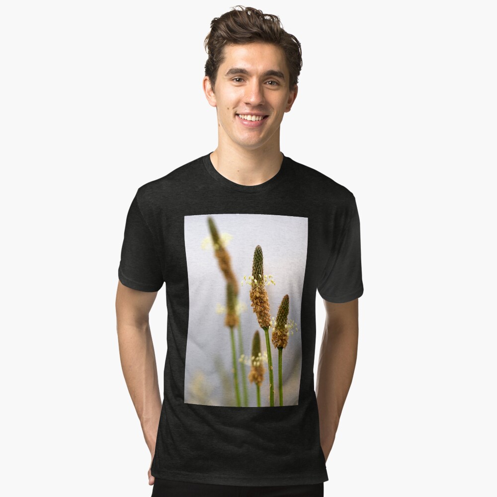 Item preview, Tri-blend T-Shirt designed and sold by AvrilThomasart.