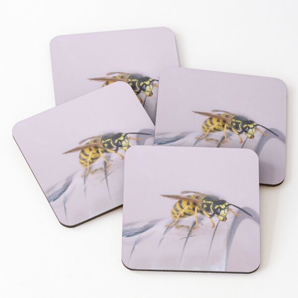 Item preview, Wasp - on glass designed and sold by Sabine Straka.