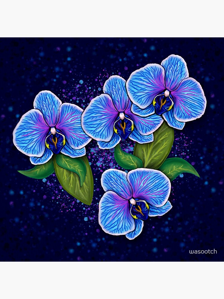 Blue Orchid - Roo Flowers by Janeth