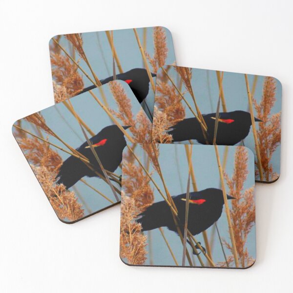Item preview, Red-winged Blackbird designed and sold by TorieWear.