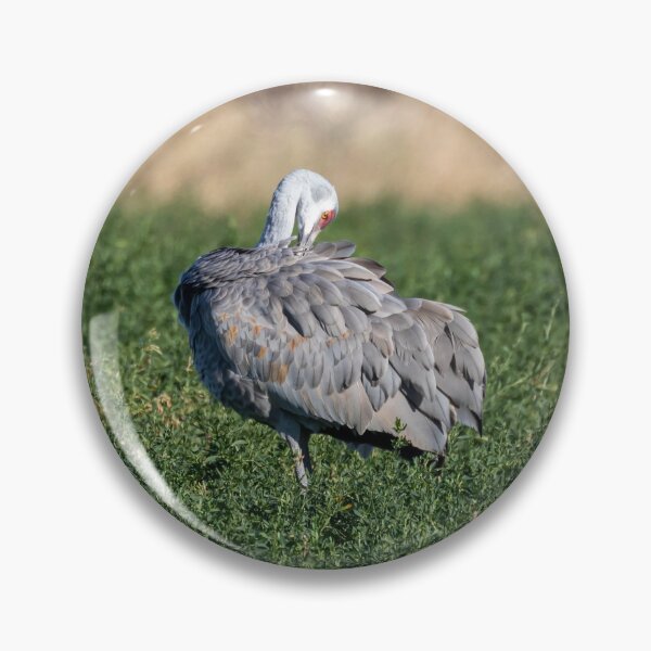 Item preview, Sandhill Crane 2020-3 designed and sold by Thomasyoung.