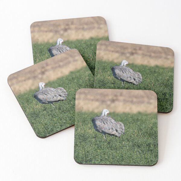 Item preview, Sandhill Crane 2020-3 designed and sold by Thomasyoung.