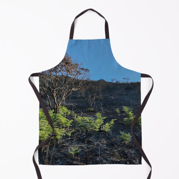 Item preview, Ferns growing shortly after the Dolan Fire designed and sold by Trevor and Photos.