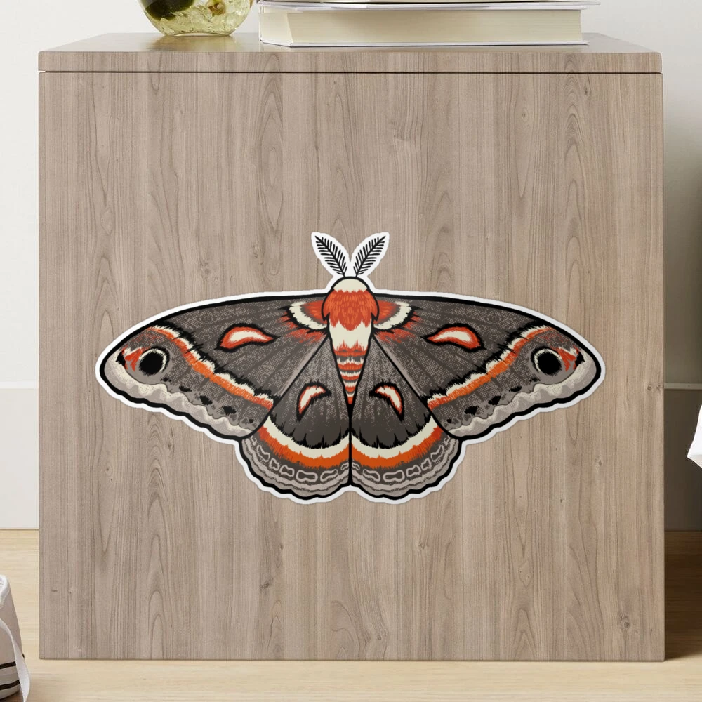 Cecropia Moth Sticker » Pip & Cricket