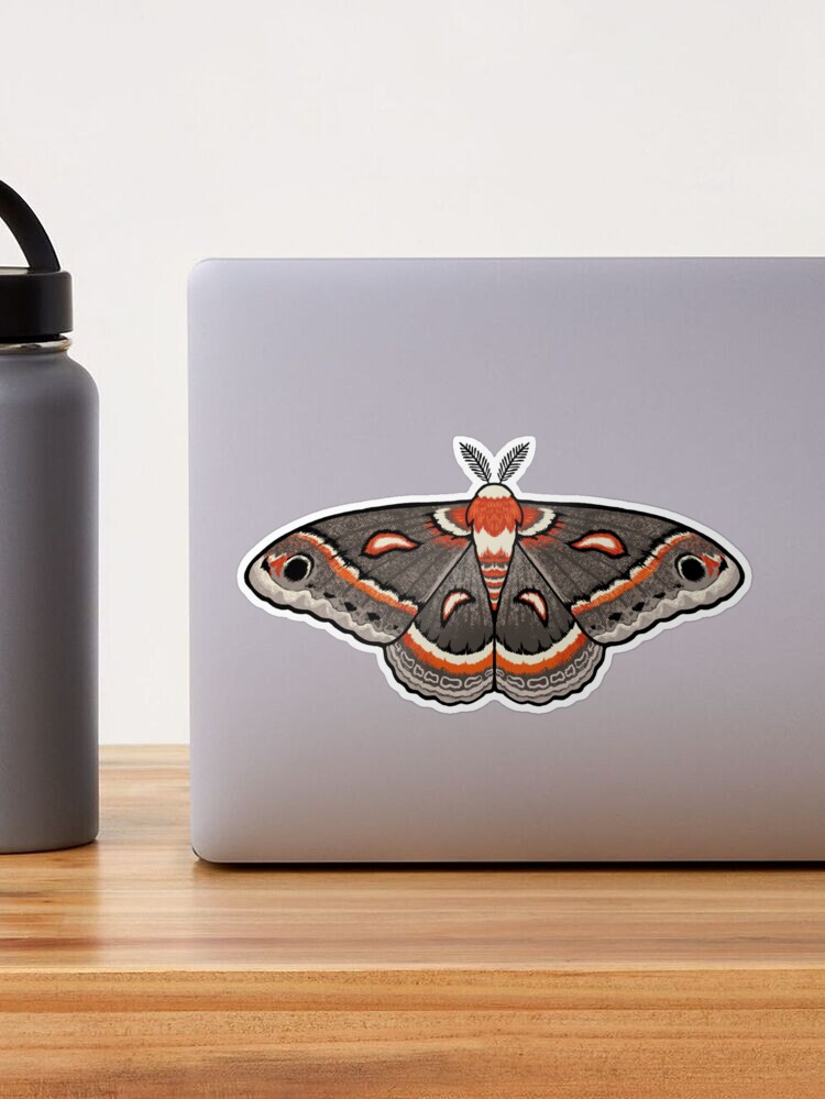 Moth Sticker, Cecropia Moth Insect Sticker, Waterproof Vinyl Art Stick -  studiotuesday