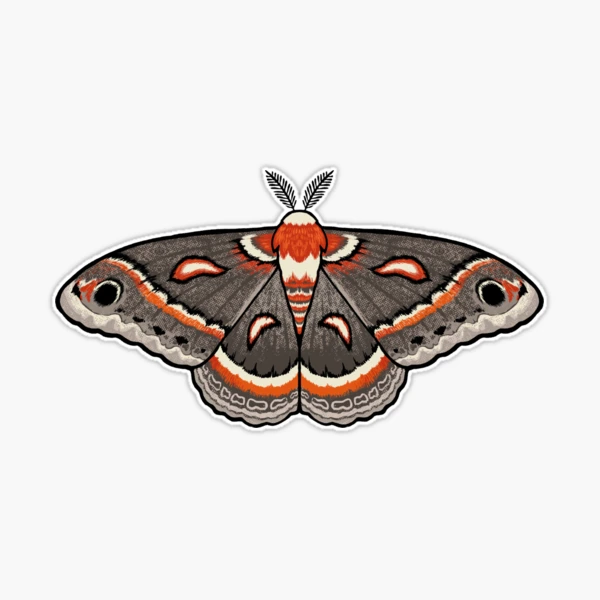 Cecropia Moth Sticker – TeaToucan