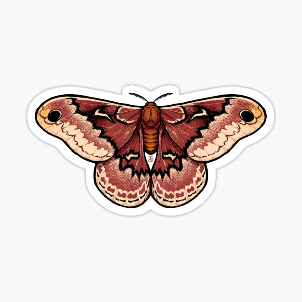 Item preview, Promethea Silkmoth designed and sold by Jessica Greving.