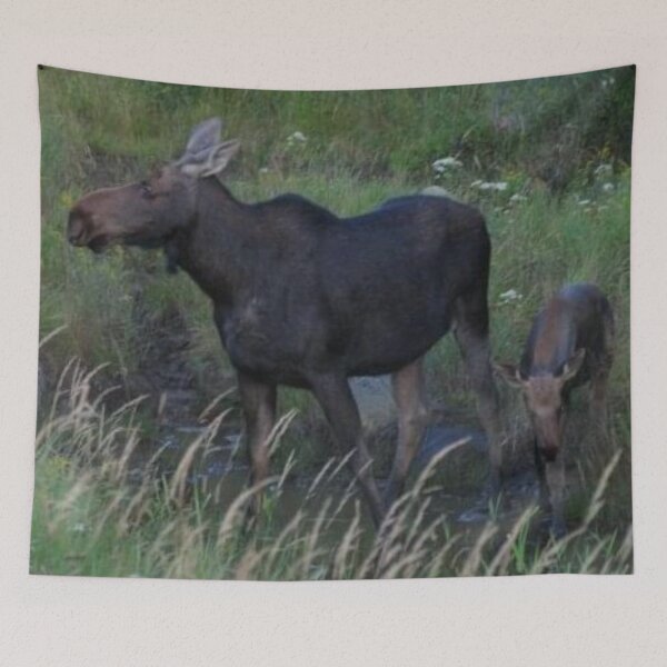 Item preview, Moose Cow and her Calf designed and sold by jrichard99.