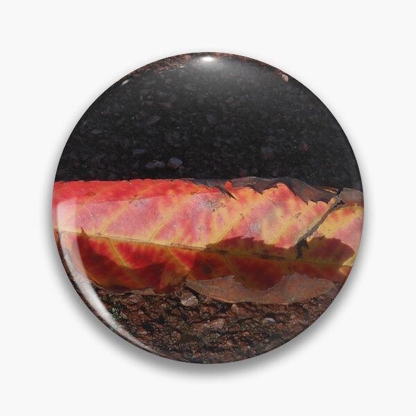 Artikelvorschau, Sunlit Surmac Leaf entworfen und verkauft von Kathryn Jones.
