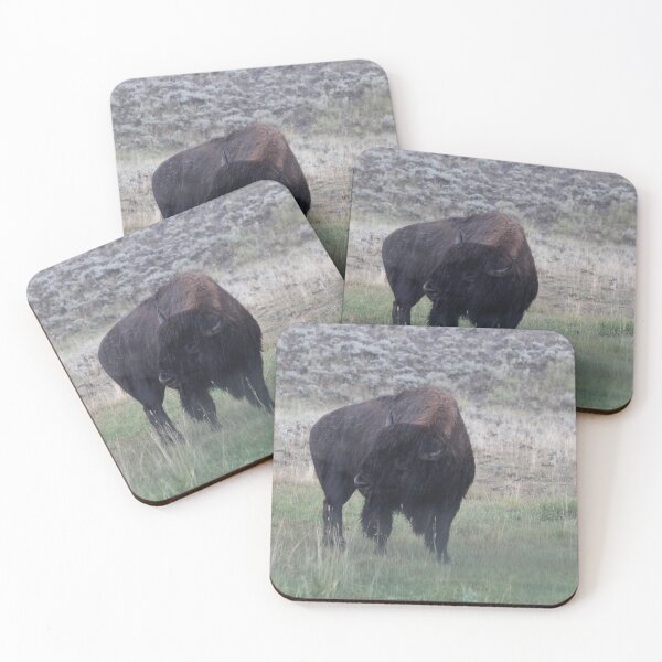 Item preview, Bison in the rain designed and sold by jrichard99.