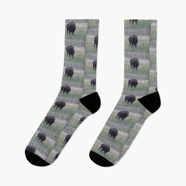 Item preview, Bison in the rain designed and sold by jrichard99.