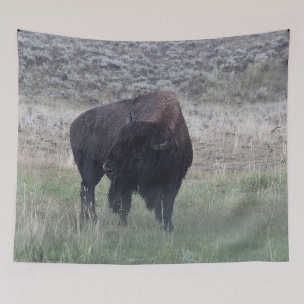 Item preview, Bison in the rain designed and sold by jrichard99.