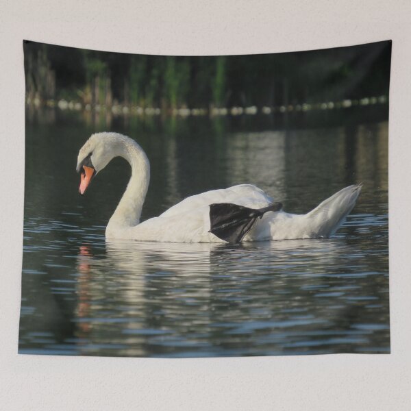 Item preview, Self-reflecting Swan designed and sold by JoanneKenney.