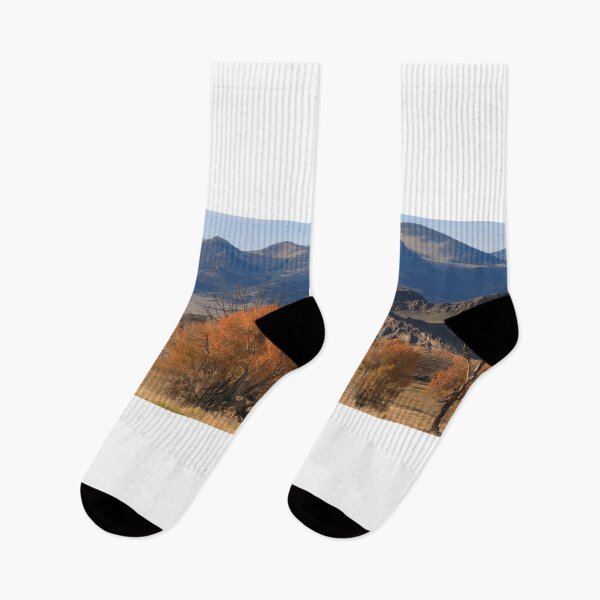 Item preview, Autumnal Colorado (panorama) designed and sold by zumi.