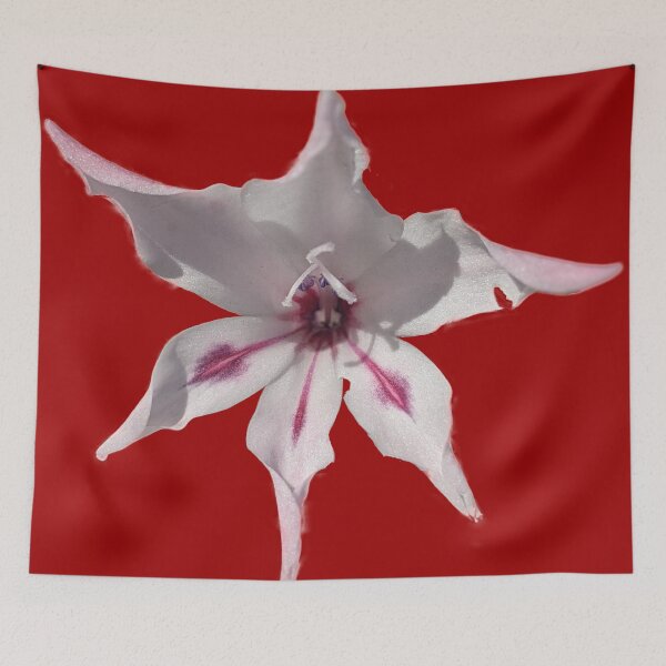 Item preview, Gladioli Blushing Bride designed and sold by PLANTONE.