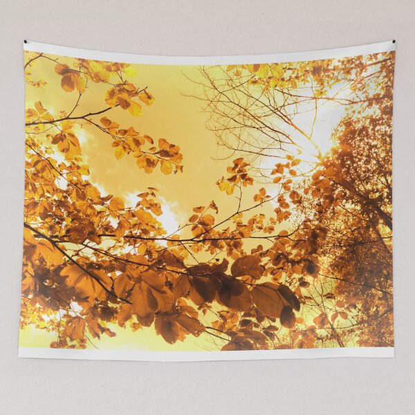 Item preview, Foliage and light, sunset and tree leaf designed and sold by Stéphane  Thirion.