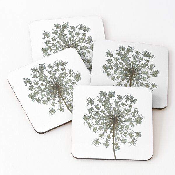 Item preview, QUEEN ANNE’S LACE designed and sold by Mrspours.