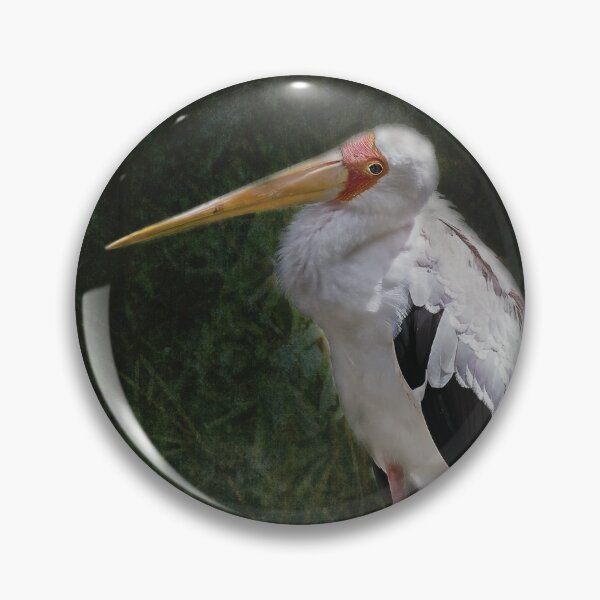 Item preview, Yellow Billed Stork Strikes Adorable Pose designed and sold by KbytesOfJax Outdoor and Nature.