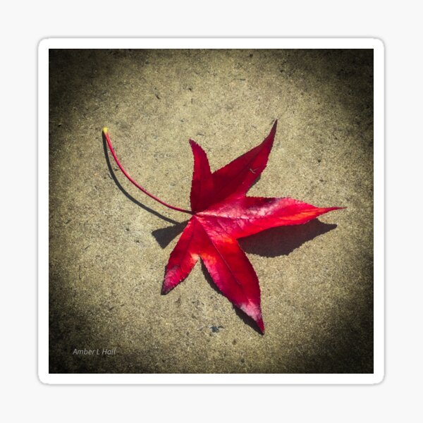 Autumn leaf Sticker