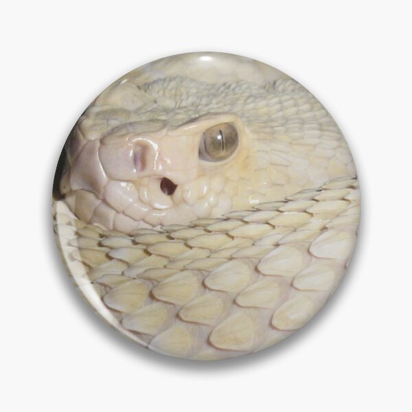 Artikelvorschau, Albino-Pythonschlange entworfen und verkauft von Stratoguayota.