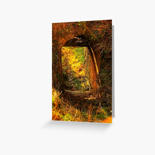 Chemin lumineux Carte de vœux