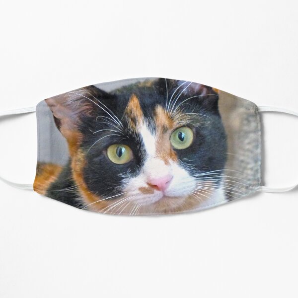 Bandit Mask For Sale By FrankieCat Redbubble   Ur,mask Flatlay Front,product,600x600 