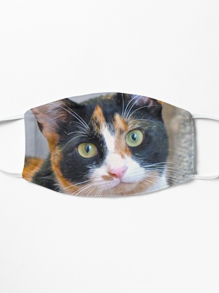 Bandit Mask For Sale By FrankieCat Redbubble   Ur,mask Flatlay Front,tall Portrait,750x1000 