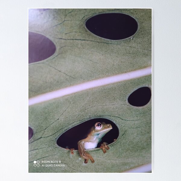 Item preview, nature  designed and sold by Mariajose  Rojo.