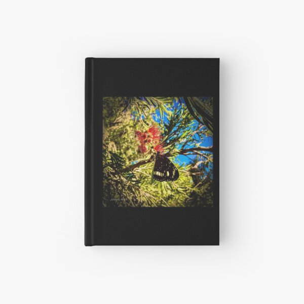 Butterfly on Callistemon Hardcover Journal
