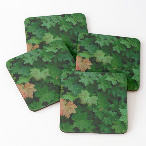 Item preview, Green Ivy Red Ivy,Plants,Garden,Lush,Full. designed and sold by EleMcKay.
