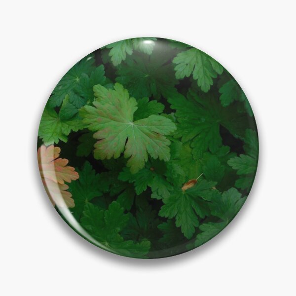 Item preview, Green Ivy Red Ivy,Plants,Garden,Lush,Full. designed and sold by EleMcKay.