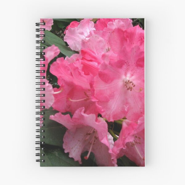 Item preview, Spring Pink designed and sold by Betty Mackey.