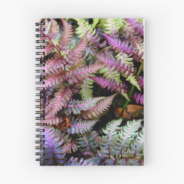Item preview, Patio Ferns - Large designed and sold by Jane Clifton.