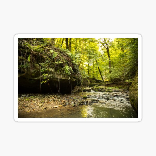 River in forest Sticker