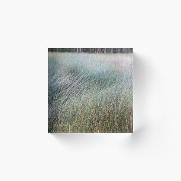 Textural sedge Acrylic Block