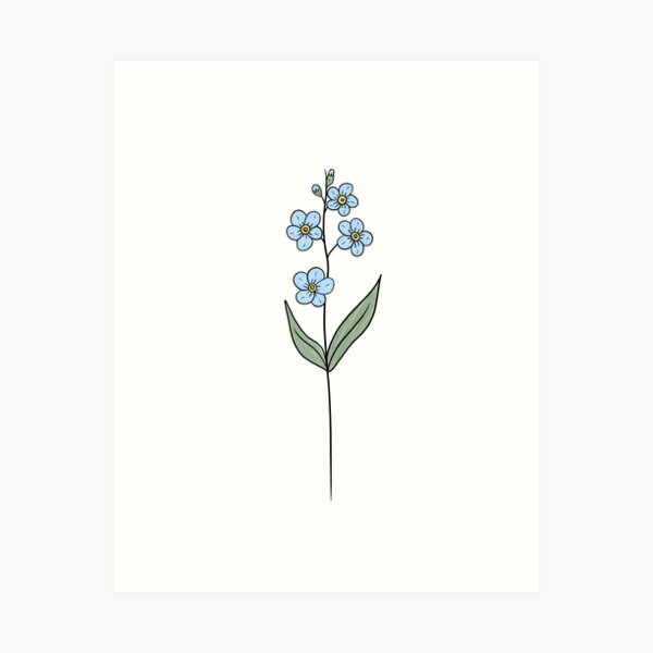 Forget Me Not Art Prints Redbubble