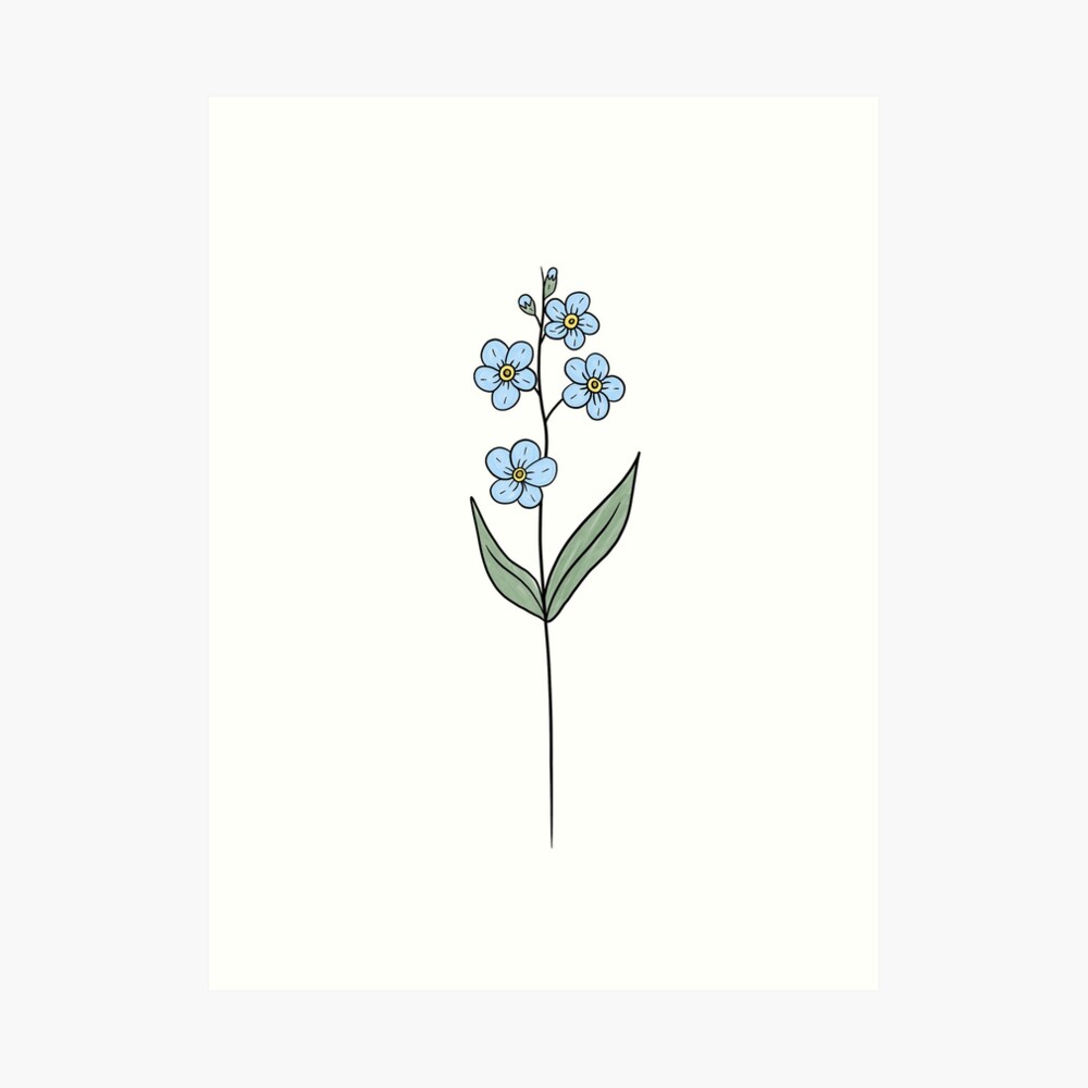 Myosotis Flower: Over 2,581 Royalty-Free Licensable Stock Illustrations &  Drawings | Shutterstock