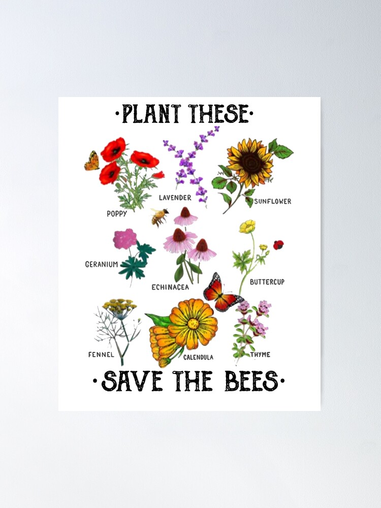 Plant These Save The Bees Flowers T-Shirt For Beekeeper