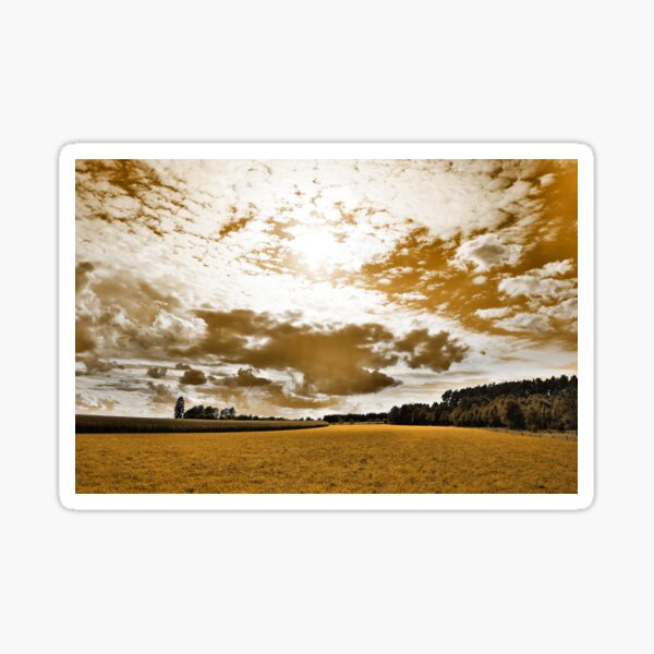 Paysage doré et silouette Sticker
