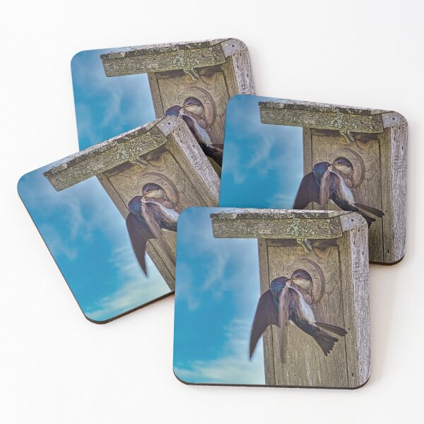 Item preview, Tree Swallows At Nest Box designed and sold by Robert Alsop.