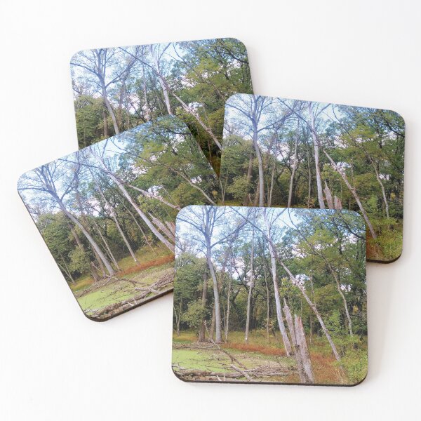 Item preview, Swampy Pond in October designed and sold by NathanMoore92.