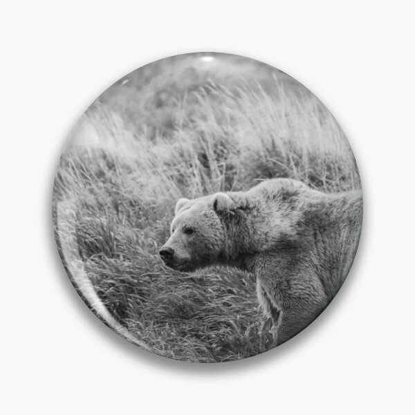 Artikelvorschau, "Scarlett" - Kodiak Braunbär Foto entworfen und verkauft von Kodiak Apparel and Goods.
