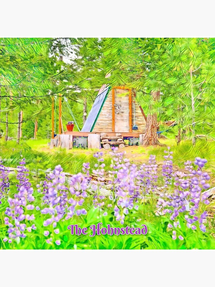 The Hohnstead Aframe in Watercolor by alla0909